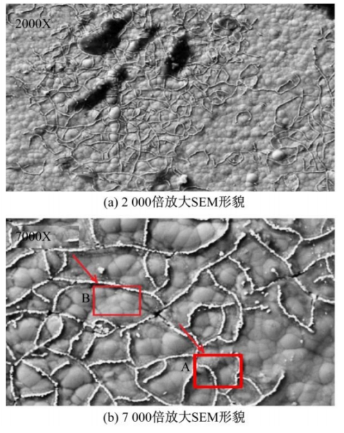 关于化学镀镍/金PCB焊点失效分析